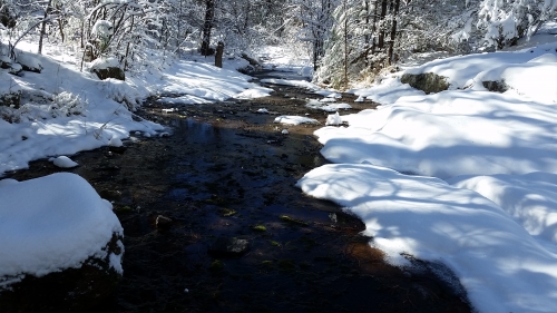 Creek in Snow